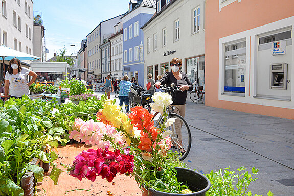 Blumen und Kräuter am Wochenmarkt Freising. (Foto: Stadt Freising)