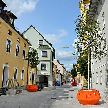 Fröhliche Farbtupfer: Die Heiliggeistgasse schmücken seit Montag, 21. August 2017, sieben Bäume in knallbunten Großkübeln. (Foto: Stadt Freising)