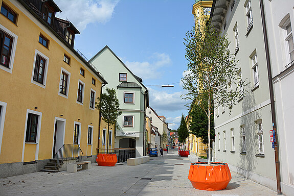 Fröhliche Farbtupfer: Die Heiliggeistgasse schmücken seit Montag, 21. August 2017, sieben Bäume in knallbunten Großkübeln. (Foto: Stadt Freising)