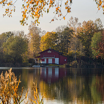 Definitiv ein Postkartenmotiv: die zauberhafte Herbststimmung am Badesee Stoibermühle, eingefangen von Florian Konrad.