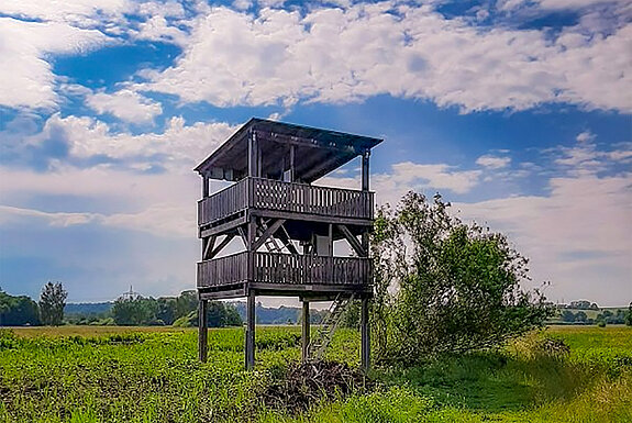 Der vom Landesbund für Vogelschutz aufgestellte Beobachtungsturm bietet einen Ausblick auf die weitläufige Landschaft mit Wiesen und Flachwasserzonen im Freisinger Moos - und mit etwas Glück lassen sich Graureiher, Bussarde, Turmfalken, Bachstelzen, Fasane oder Störche entdecken.