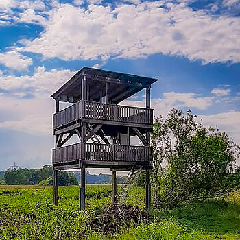 Der vom Landesbund für Vogelschutz aufgestellte Beobachtungsturm bietet einen Ausblick auf die weitläufige Landschaft mit Wiesen und Flachwasserzonen im Freisinger Moos - und mit etwas Glück lassen sich Graureiher, Bussarde, Turmfalken, Bachstelzen, Fasane oder Störche entdecken.