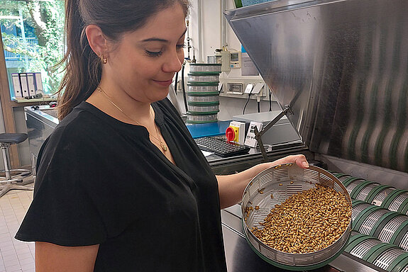 Eine junge Frau in einem Labor mit Getreide in einer Trommel.