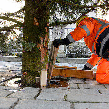 Es müssen Holzklötze in die Halterung eingebracht werden, damit die elf Meter hohe Tanne auch sicher steht. (Foto: Stadt Freising)