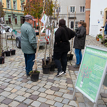 Auswahl des Obstbaums. (Foto: Stadt Freising)