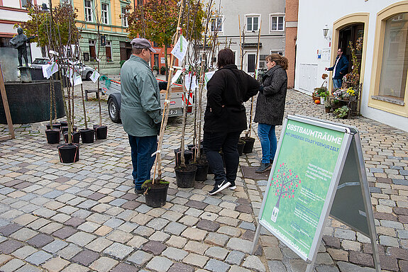 Auswahl des Obstbaums. (Foto: Stadt Freising)