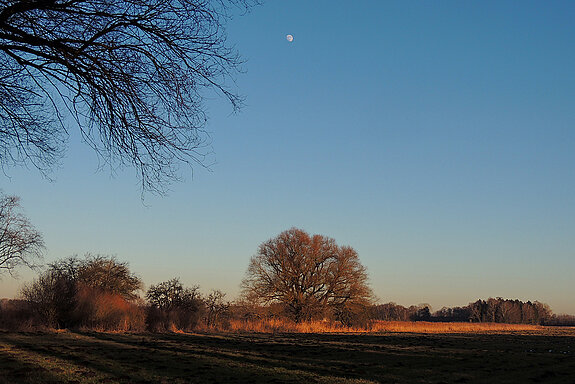 Auch im Winter sehenswert: Abendstimmung im Freisinger Moos. (Foto: Manfred Drobny)