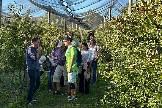 Prof. Dominikus Kittemann stellt die Anlagen für studentische Übungen der HSWT zwischen Staudengarten und Lange Point vor. Foto: Klaus Wiesinger Eine Gruppe Menschen steht in einer Obstplantage, die mit Netzen geschützt ist.
