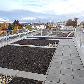 Auf den Dachflächen der Mehrgenartionenwohnungen wird "urban gardening" ermöglicht". (Foto: Stadt Freising) 