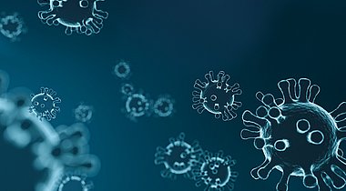 Coronavirus (Symbolbild: pixabay)