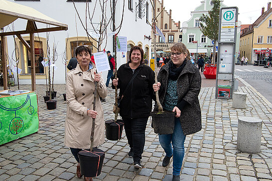 Grünlandreferentin Heidi Kammer (links) hilft beim Abtransport der Bäume. (Foto: Stadt Freising)