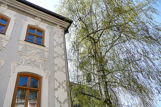 Fassade des historischen Ziererhauses in der Freisinger Innenstadt