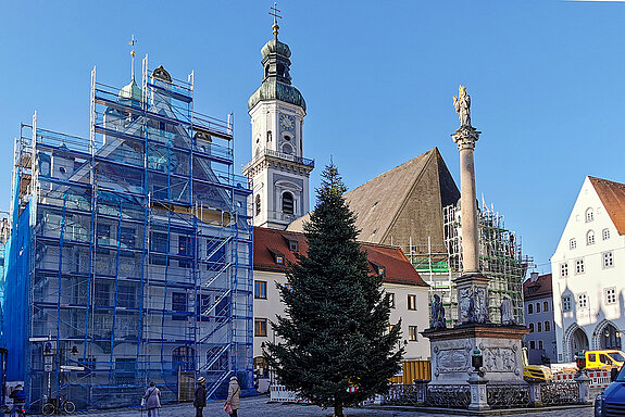 Ist er nicht wunderschön, unser Christbaum 2021?! (Foto: Stadt Freising)