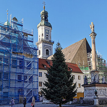 Ist er nicht wunderschön, unser Christbaum 2021?! (Foto: Stadt Freising)