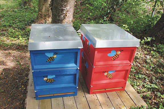 Das sind unsere zwei Bienenvölker am Sebaldhaus, die hoffentlich bald fleißig Honig für uns sammeln werden.