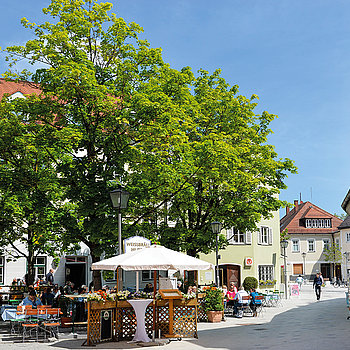 Ahornbäume in der neu gestalteten General-von-Nagelstraße