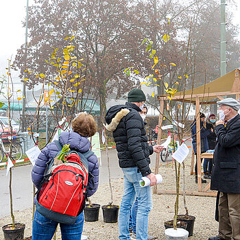 Eindrücke vom Verkauf der Obst- und Laubbäume des Förderprogramms der Stadt Freising. 