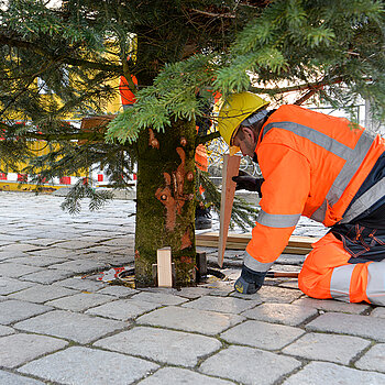 Noch ist die Arbeit nicht erledigt... (Foto: Stadt Freising)