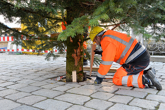 Noch ist die Arbeit nicht erledigt... (Foto: Stadt Freising)