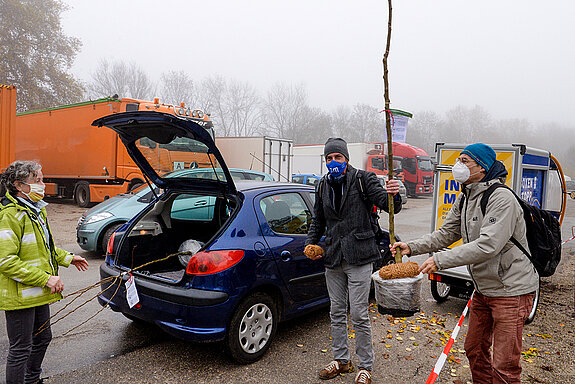 Umweltreferent Manfred Drobny (rechts) und Florian Rüger helfen beim Einladen der Bäume. (Foto: Stadt Freising)