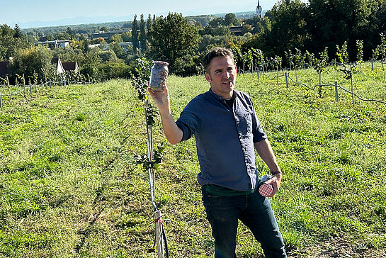 Professor Domikus Kittemann (HSWT) stellt verschiedene Haselnuss-Sorten vor der 2025 neu gepflanzten Bio-Hasel Versuchsanlage an der Langen Point vor. Foto: Klaus Wiesinger Ein Mann steht vor einer Pflanzung und hält ein gefülltes Gefäß mit Haselnüssen hoch.