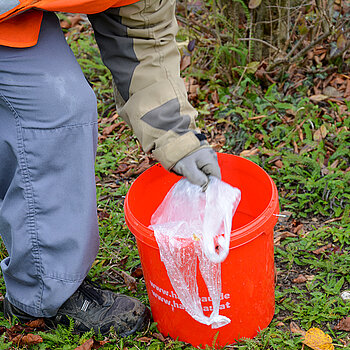 Achtlos ins Gebüsch geworfene Plastiktüten finden sich an jeder Ecke und werden in die bereitgestellten Mülleimer gepackt. (Foto: Stadt Freising)