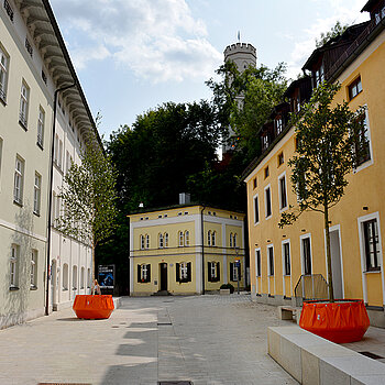 Die Heiliggeistgasse schmücken seit Montag, 21. August 2017, sieben Bäume in knallbunten Großkübeln. (Foto: Stadt Freising)