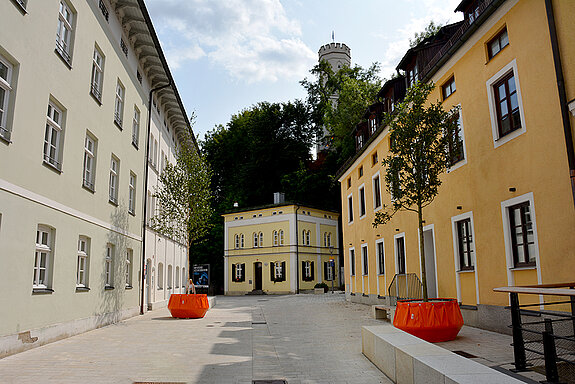 Die Heiliggeistgasse schmücken seit Montag, 21. August 2017, sieben Bäume in knallbunten Großkübeln. (Foto: Stadt Freising)