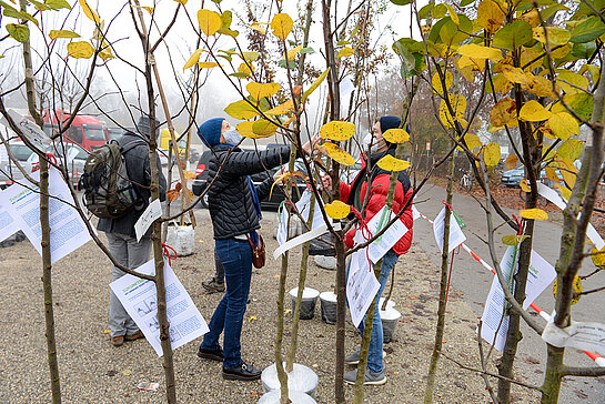 Mit viel Liebe und sachverständiger Unterstützung wurde die Auswahl bei den Obst- und Laubbäumen getroffen. (Foto: Stadt Freising)