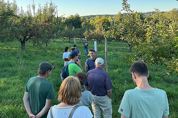 Ein abschließender Rundgang durch den neuen Streuobstpfad in spätsommerlicher Abendstimmung lässt einen lehrreichen Nachmittag ausklingen. Foto: Stadt Freising Eine Gruppe Menschen steht auf einer Streuobstwiese am Hang im Schatten.