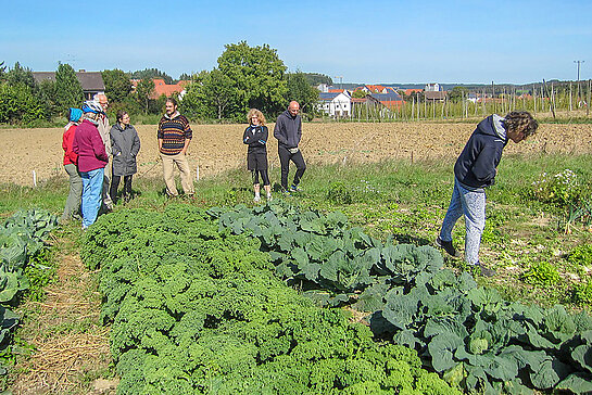Interessante Einblicke in eine faire Form des Wirtschaftens vor unserer Haustür: Der Gärtnerhof Auergarden bei Haslach erzeugt Biogemüse und Äpfel in einer Solidarischen Landwirtschaft.