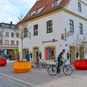 Präsentation der Wanderbäume in der Oberen Altstadt: Zwei Apfeldorn zieren den Einmündungsbereich zur Bahnhofstraße. (Foto: Stadt Freising)