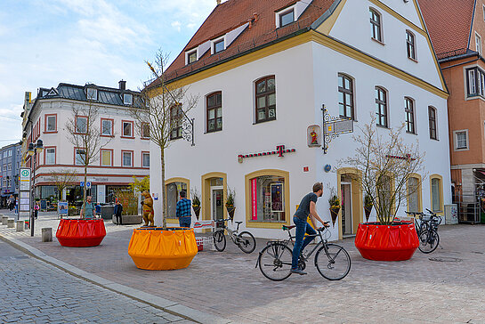 Präsentation der Wanderbäume in der Oberen Altstadt: Zwei Apfeldorn zieren den Einmündungsbereich zur Bahnhofstraße. (Foto: Stadt Freising)
