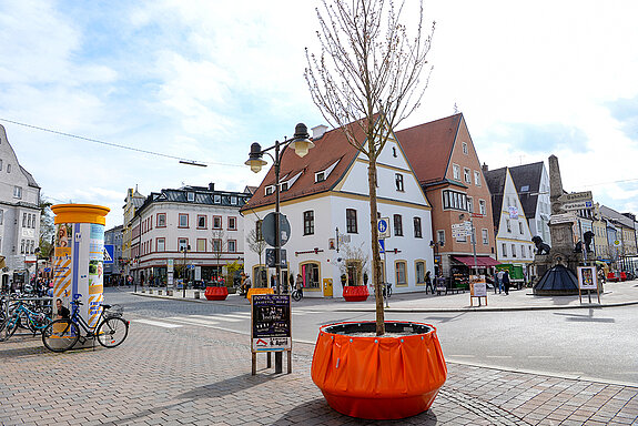 Wanderbäume Obere Altstadt: An der Ecke Bahnhofstraße/Obere Hauptstraße wird schon bald die Zierkirsche blühen. (Foto: Stadt Freising)