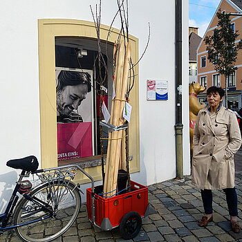 Vorbildlich, findet auch Heidi Kammler, die Grünlandreferentin des Stadtrats: Wie hier zu sehen, transportierten einige Kund*innen ihre Bäume und Stützen mit dem Rad nach hause. (Foto: Stadt Freising)