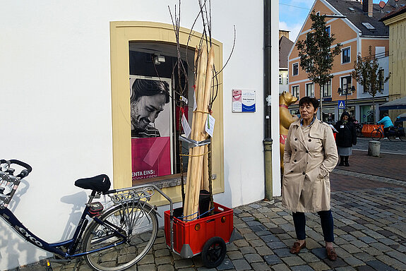 Vorbildlich, findet auch Heidi Kammler, die Grünlandreferentin des Stadtrats: Wie hier zu sehen, transportierten einige Kund*innen ihre Bäume und Stützen mit dem Rad nach hause. (Foto: Stadt Freising)